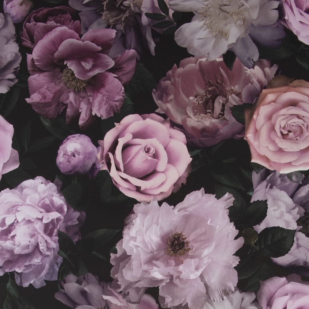 pandora_drama_wallpaper1