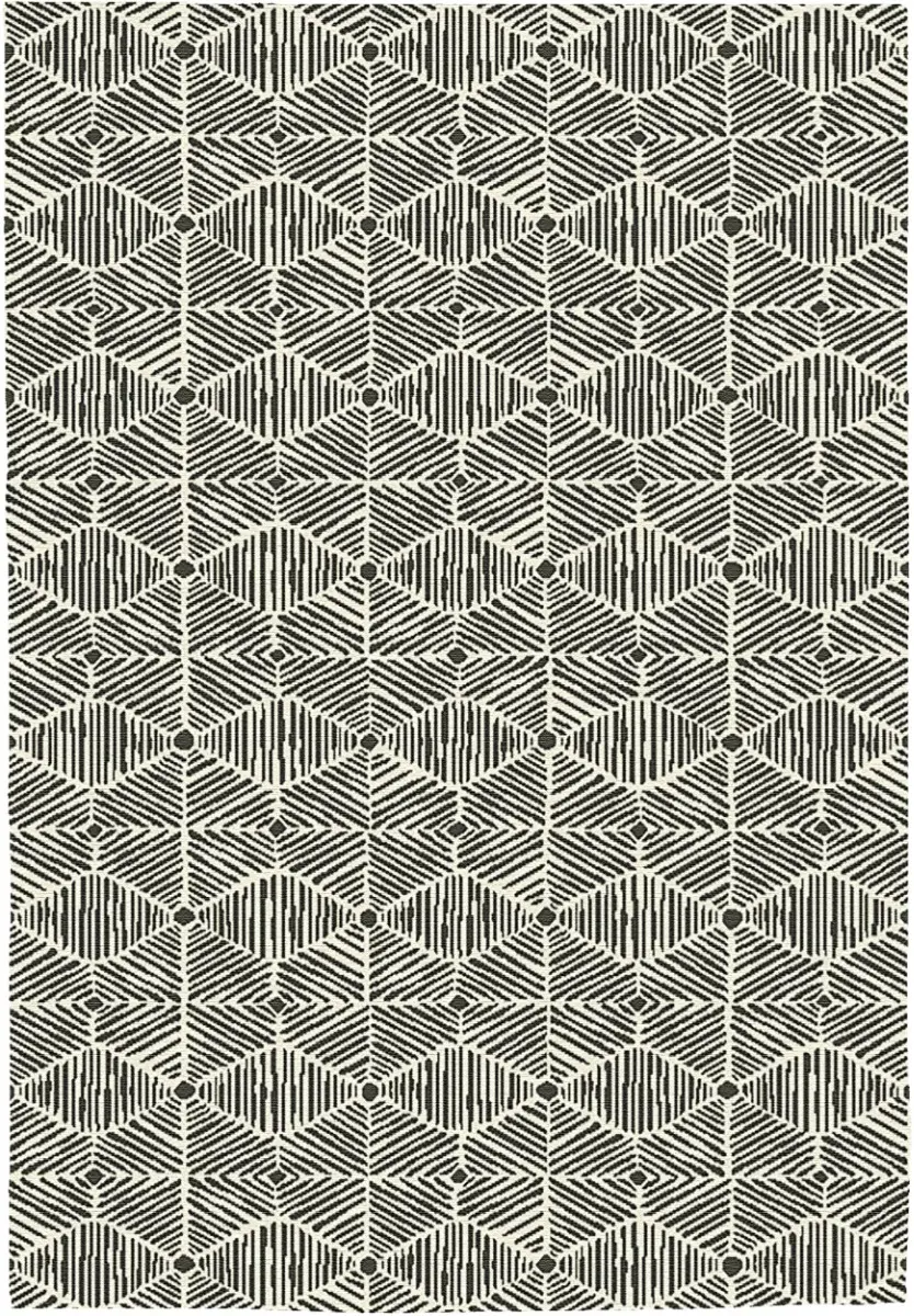 fenix_modern_hexagon_design1
