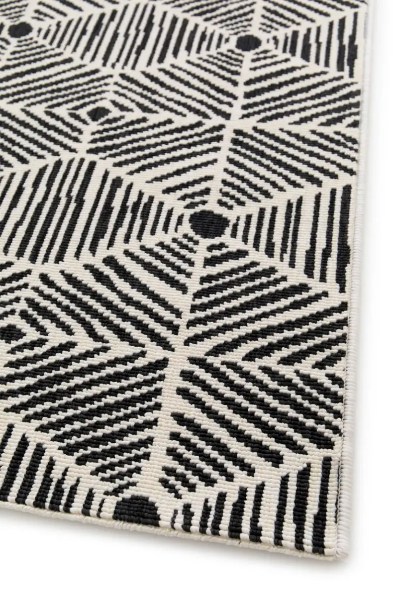 fenix_modern_hexagon_design3