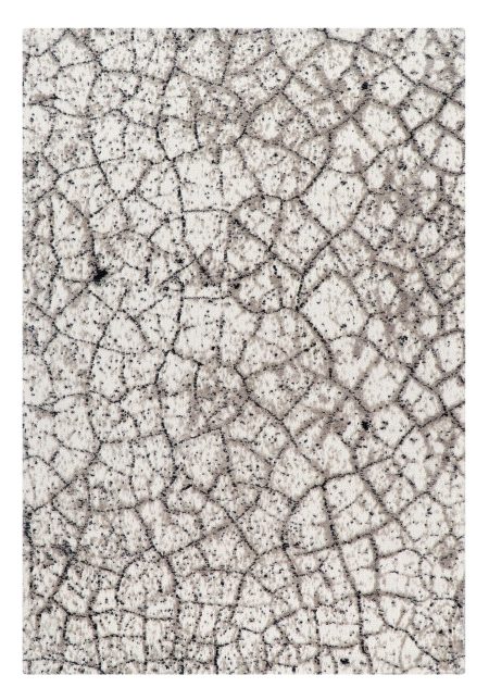 Lynx Stone