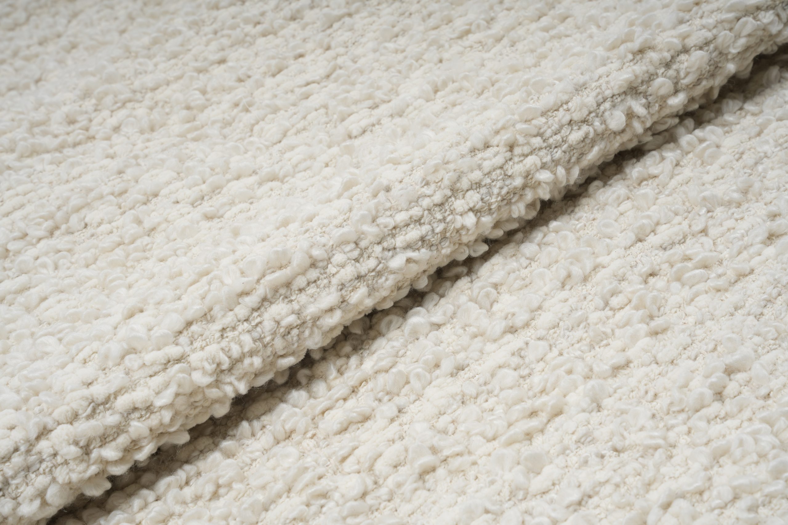 Frontier Oyster - Image 2