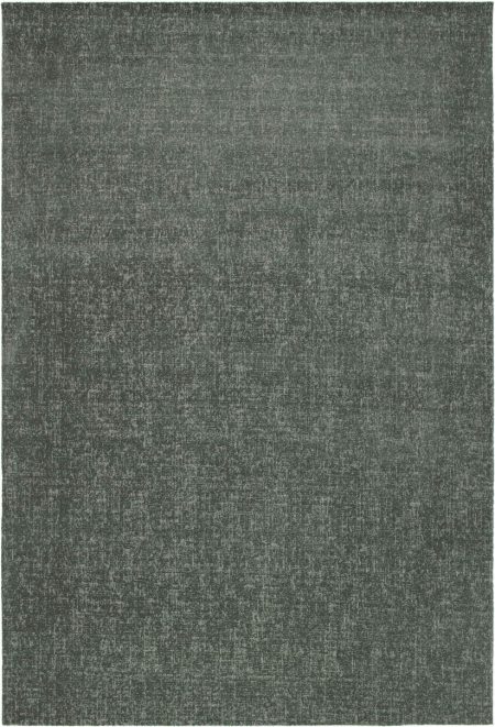 Fiji Plain Forest