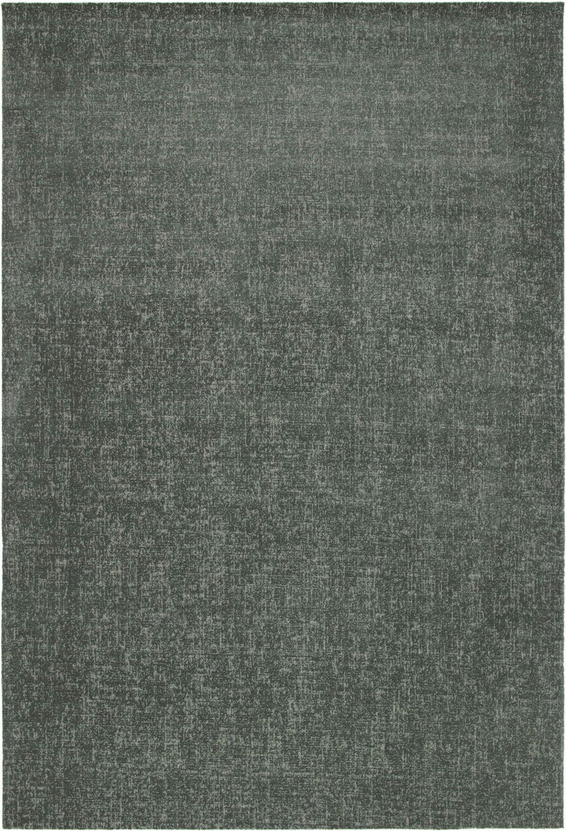 Fiji Plain Forest